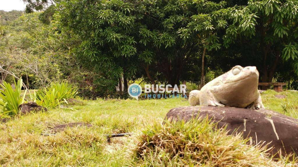 Fazenda à venda com 11 quartos, 440000M2 - Foto 32