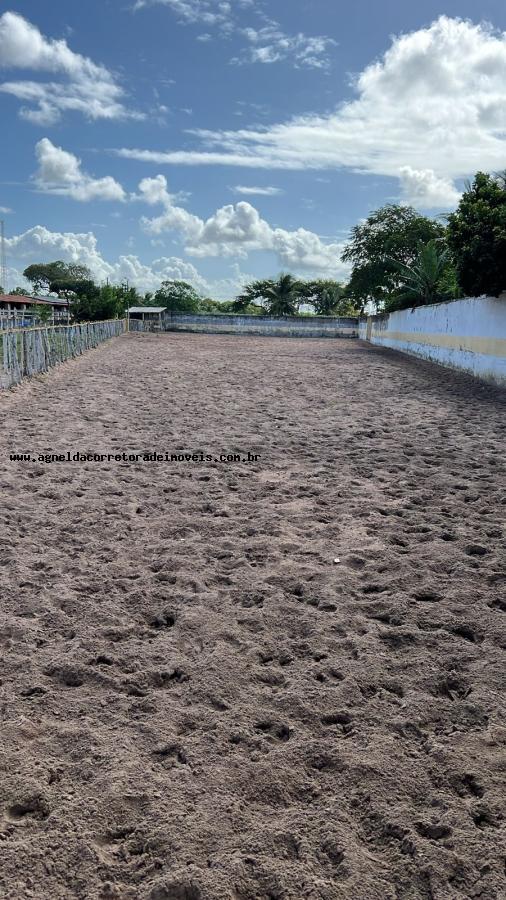 Fazenda à venda com 2 quartos, 6300m² - Foto 21