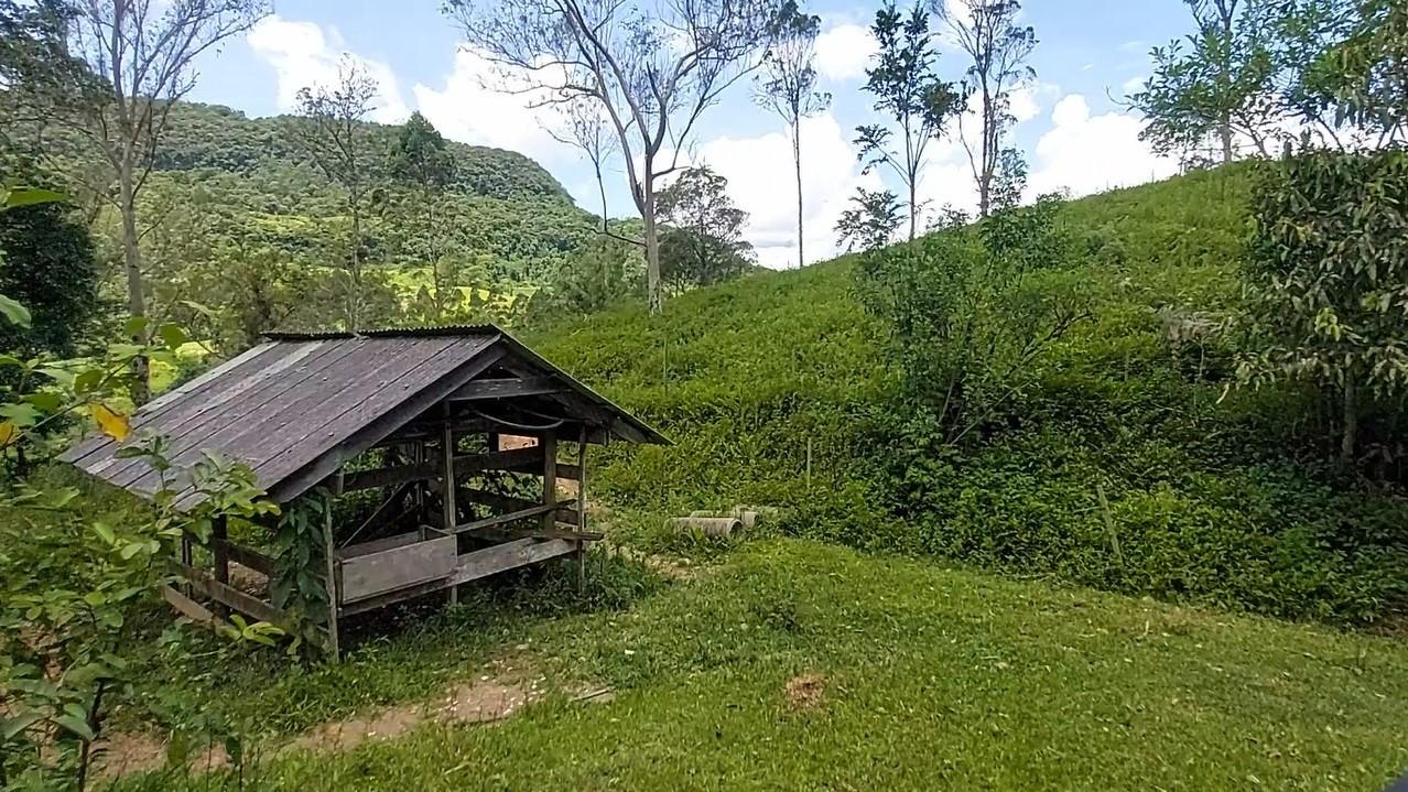 Fazenda à venda com 8 quartos, 120000m² - Foto 49