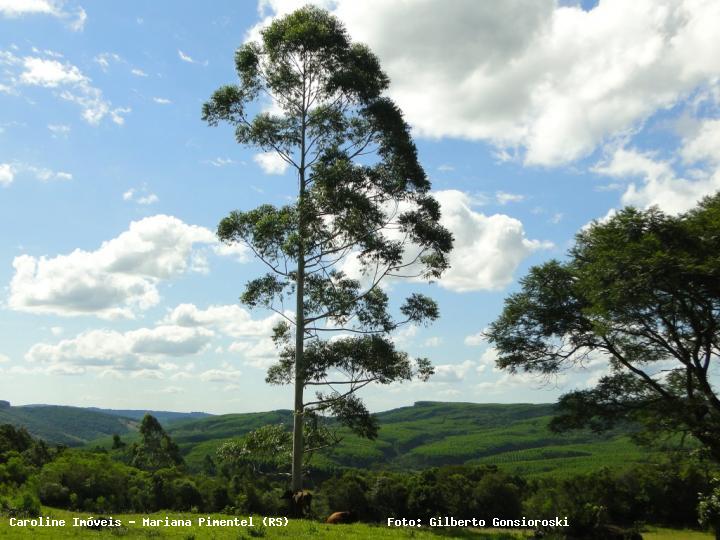 Fazenda à venda com 3 quartos, 160000m² - Foto 27