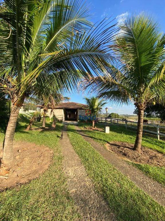 Haras e Área Rural Padrão à venda com 5 quartos, 108900M2 - Foto 50