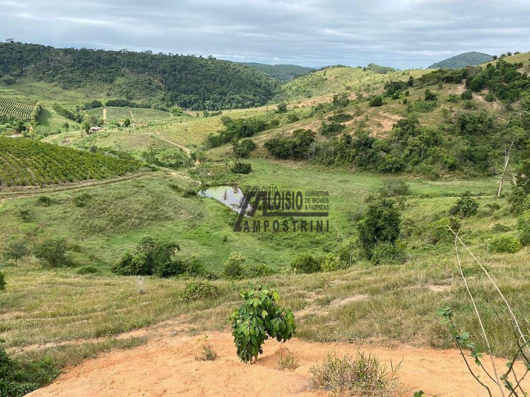 Fazenda à venda, 2420000M2 - Foto 20