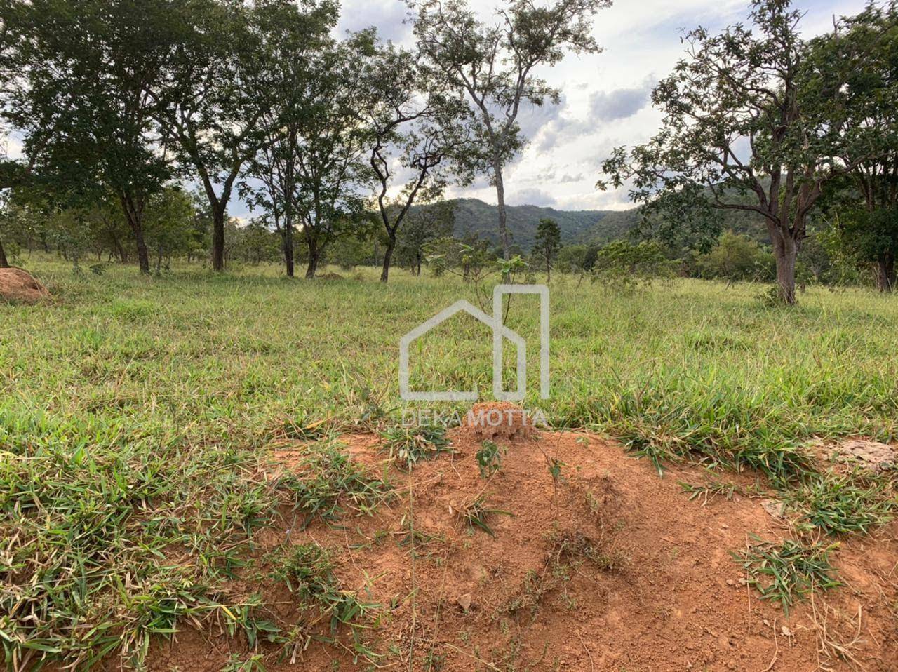 Fazenda à venda com 3 quartos, 21217700000M2 - Foto 15