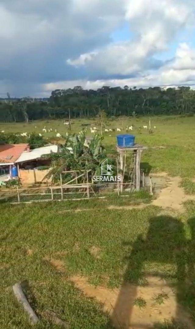 Fazenda-Sítio-Chácara, 968 hectares - Foto 2