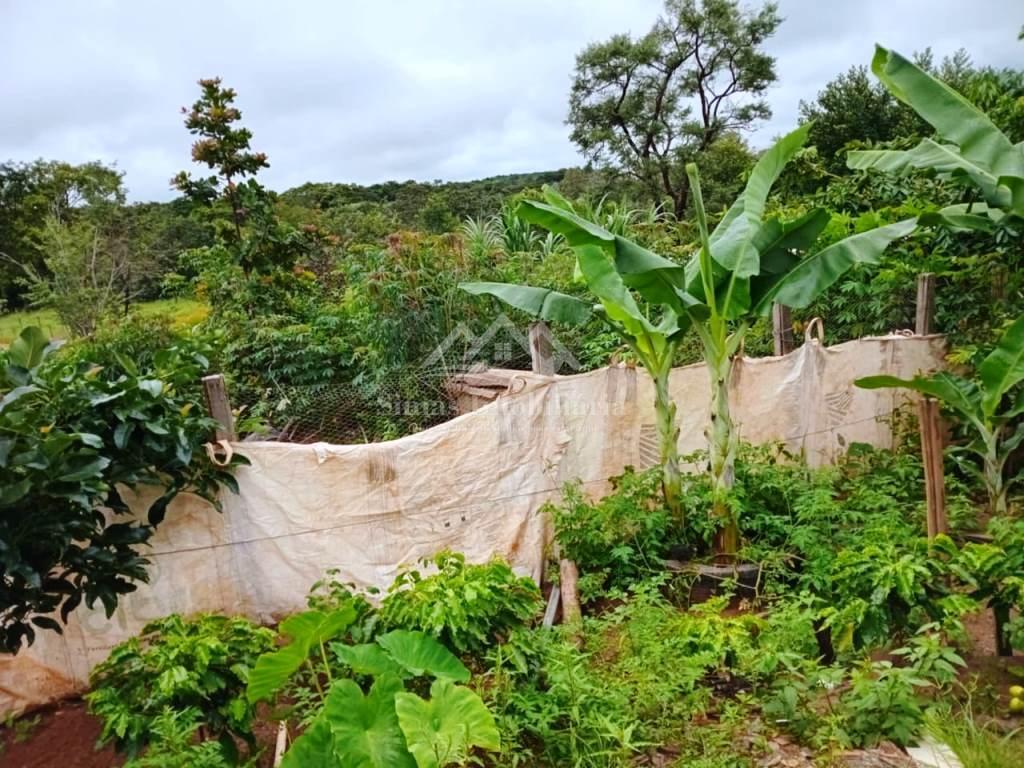 Fazenda à venda com 3 quartos, 1890m² - Foto 10