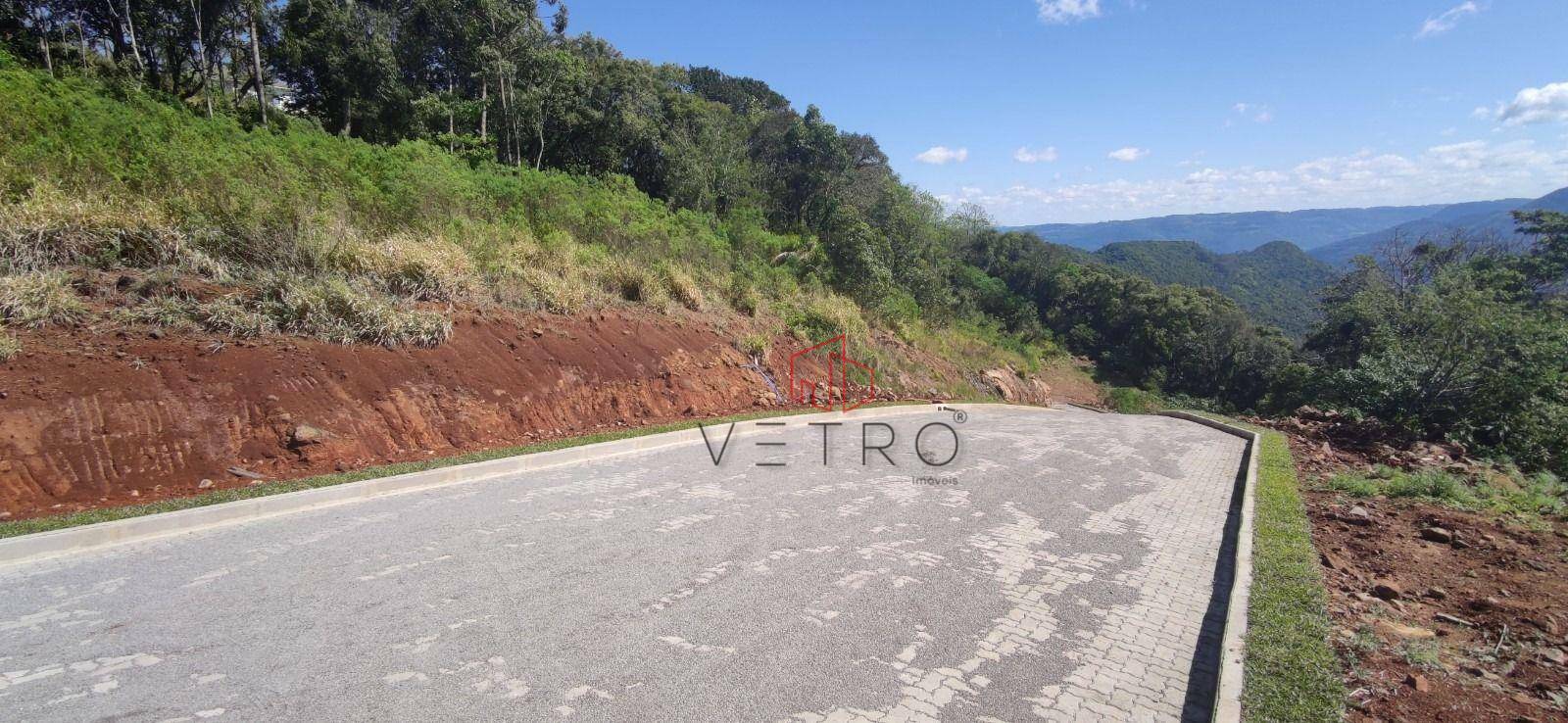 Terreno à venda, 490M2 - Foto 2