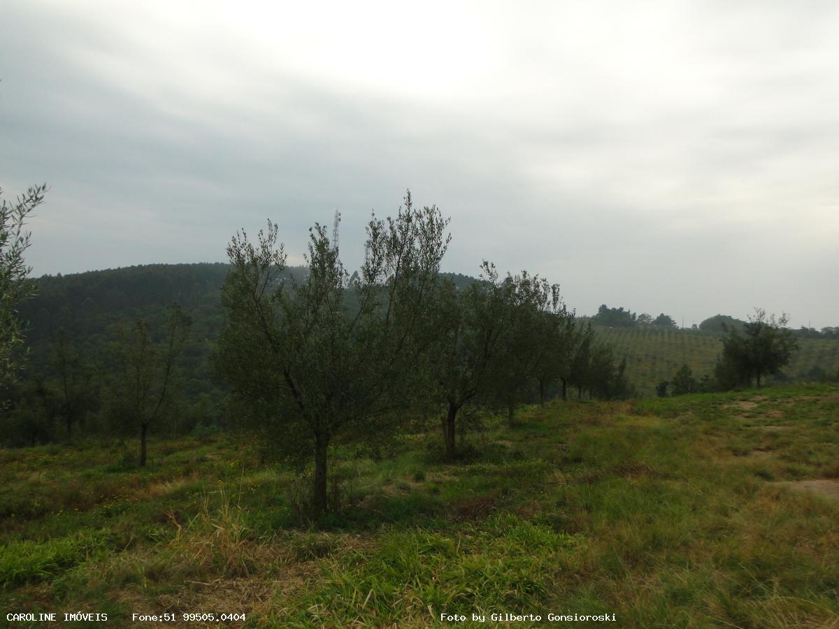 Fazenda à venda com 6 quartos, 493400m² - Foto 25