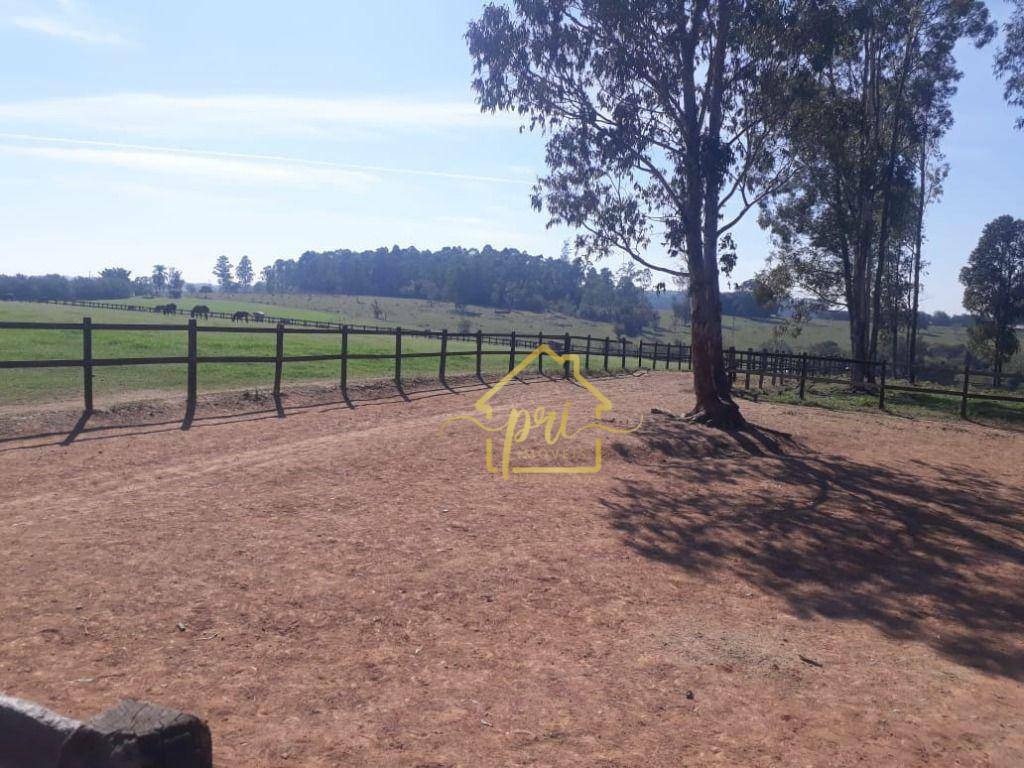 Haras e Área Rural Padrão à venda com 4 quartos, 1000m² - Foto 6