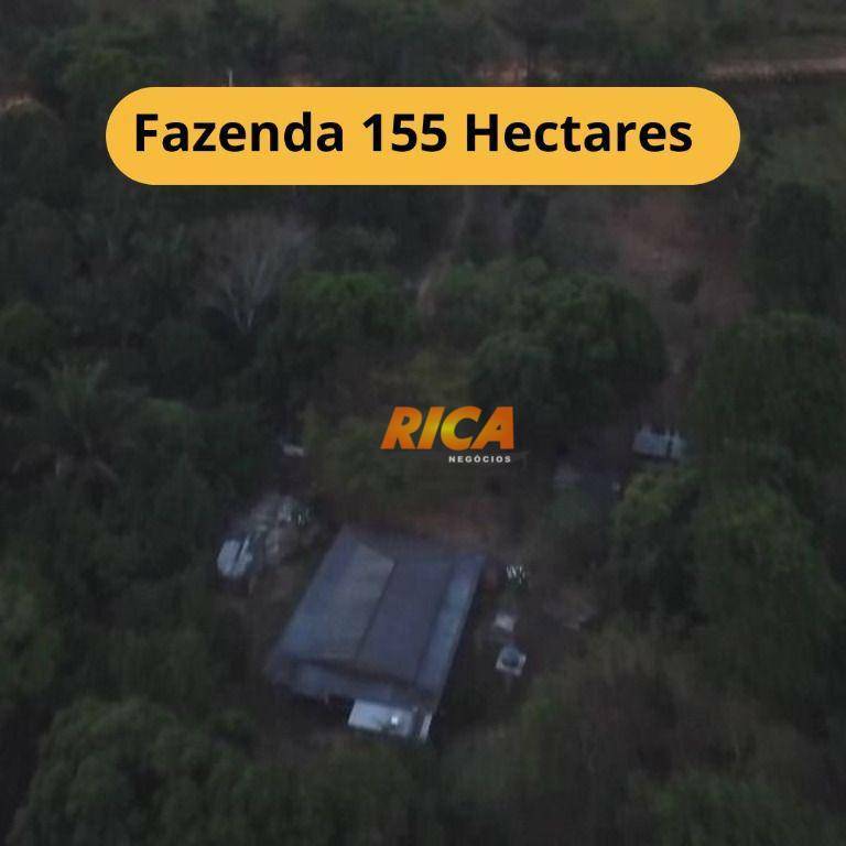 Fazenda-Sítio-Chácara, 155 hectares - Foto 1