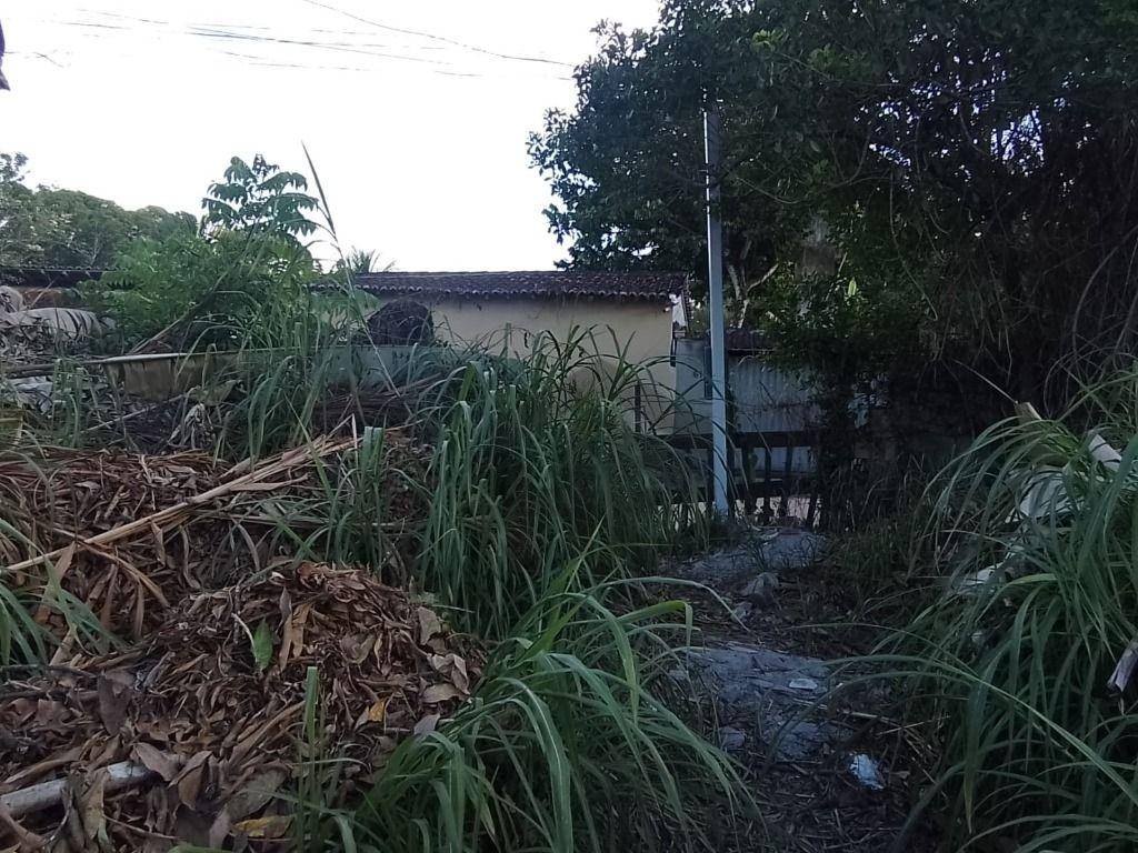 Terreno, 1000 m² - Foto 9