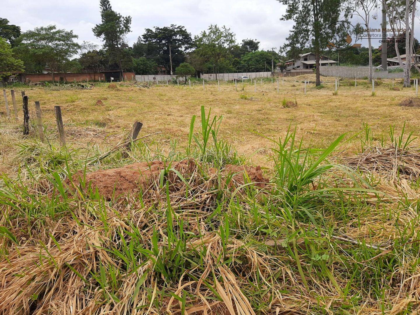 Terreno à venda, 1410M2 - Foto 10