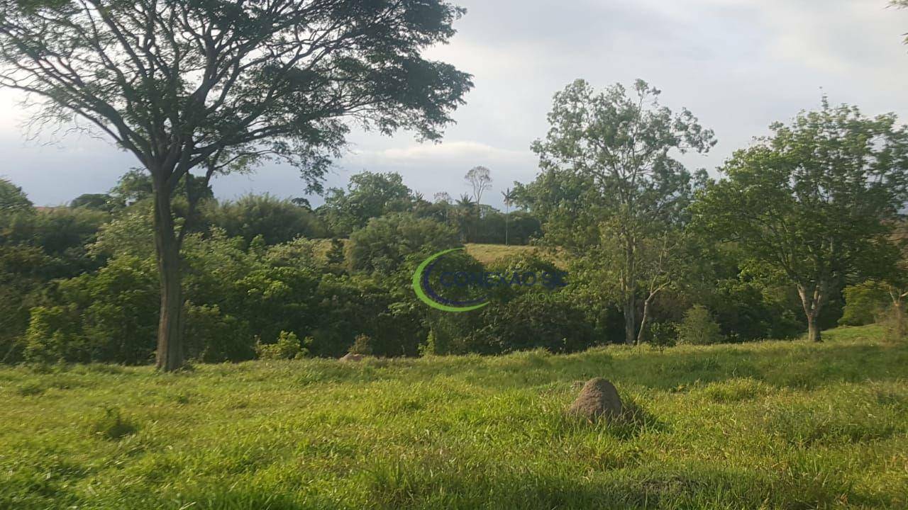 Terreno, 6 hectares - Foto 1