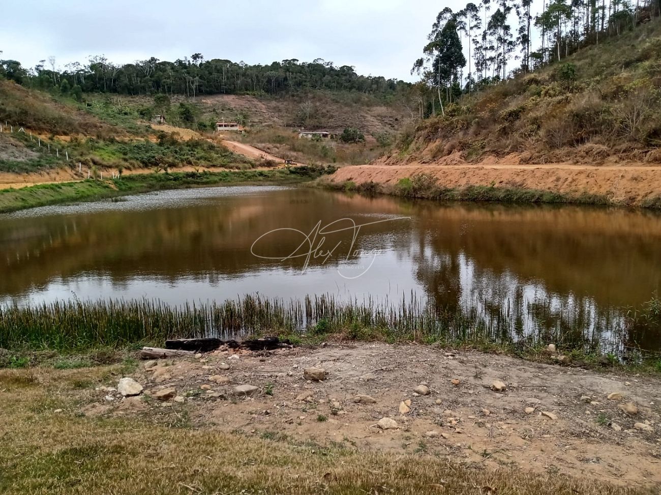 Fazenda à venda, 3000m² - Foto 15