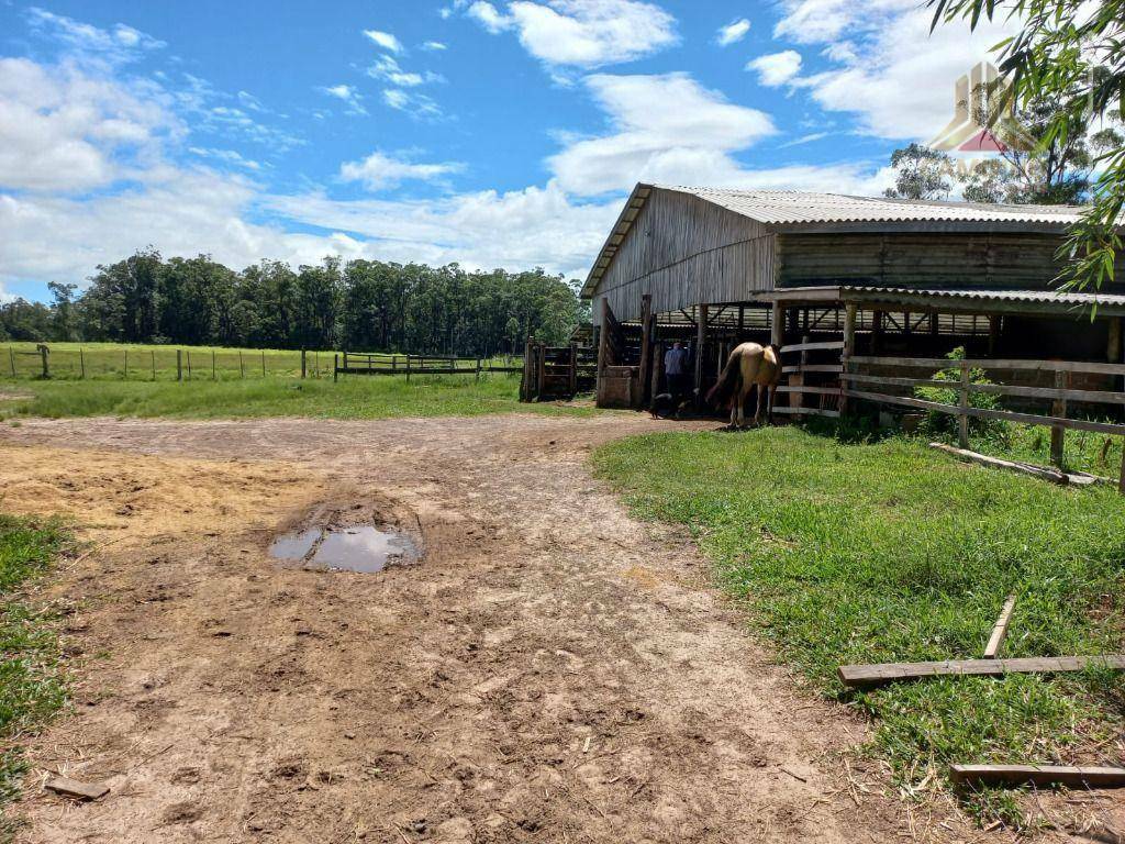 Fazenda à venda, 600000M2 - Foto 9