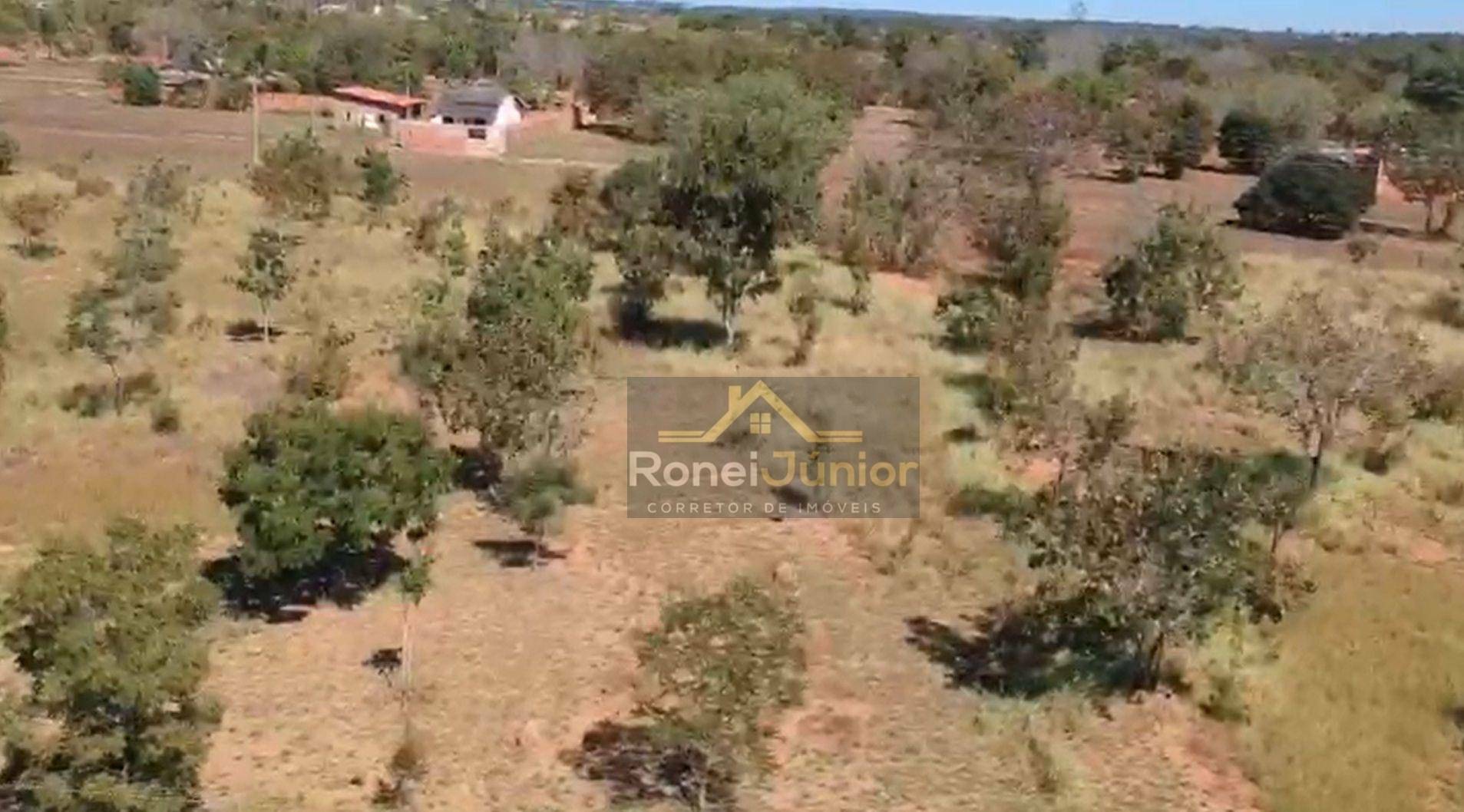 Terreno, 6000 m² - Foto 2