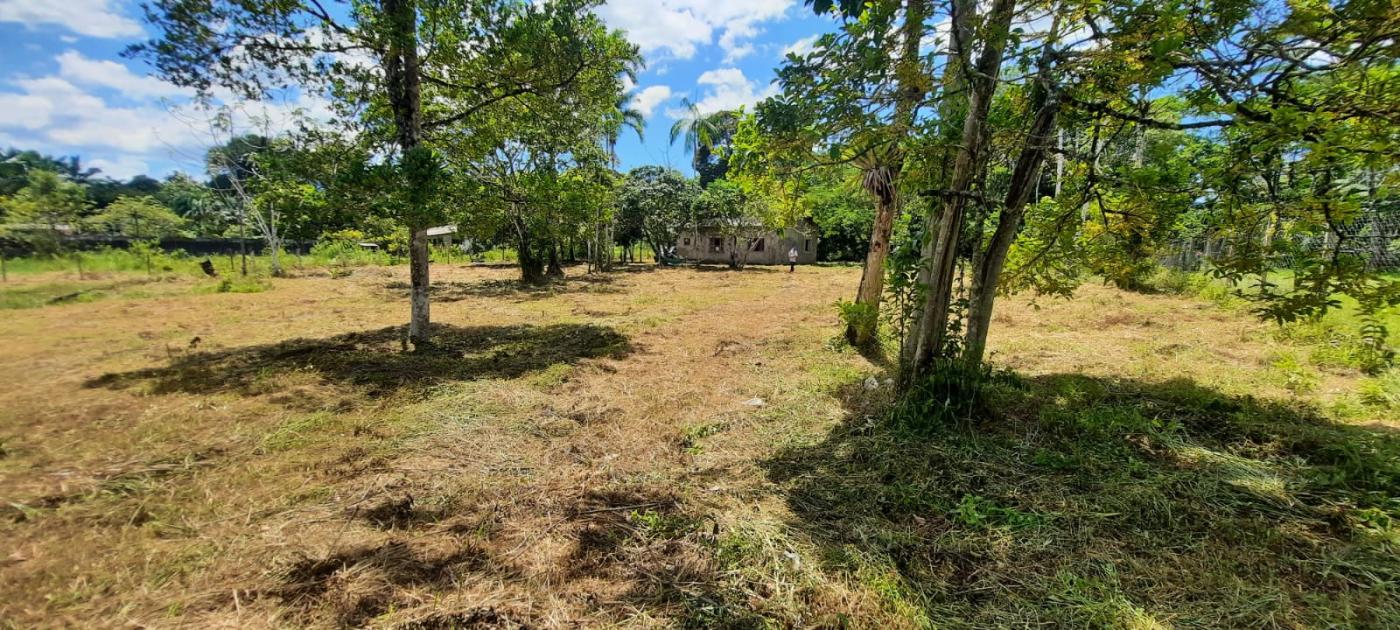 Fazenda à venda com 2 quartos, 3500m² - Foto 17