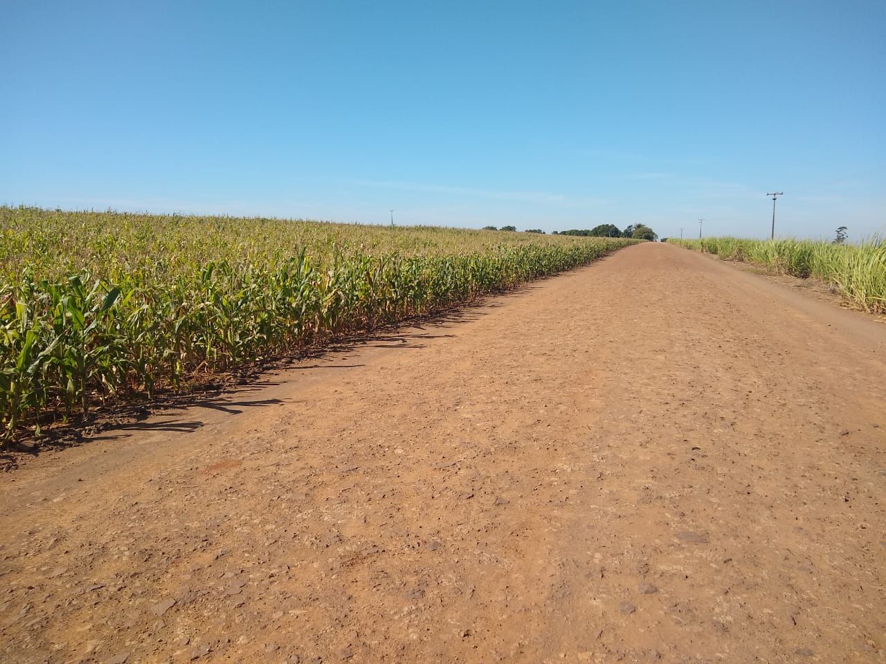 Terreno à venda, 181500M2 - Foto 3