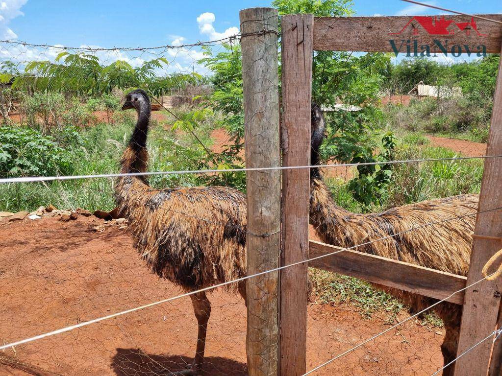 Sítio à venda com 4 quartos, 48000M2 - Foto 25