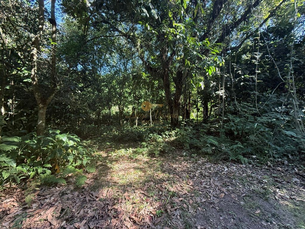 Sítio à venda, 124000m² - Foto 16