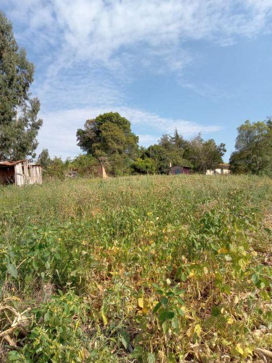 Fazenda à venda com 3 quartos, 130000m² - Foto 13