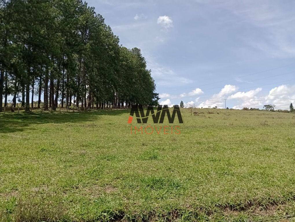 Fazenda à venda com 4 quartos, 820000M2 - Foto 1