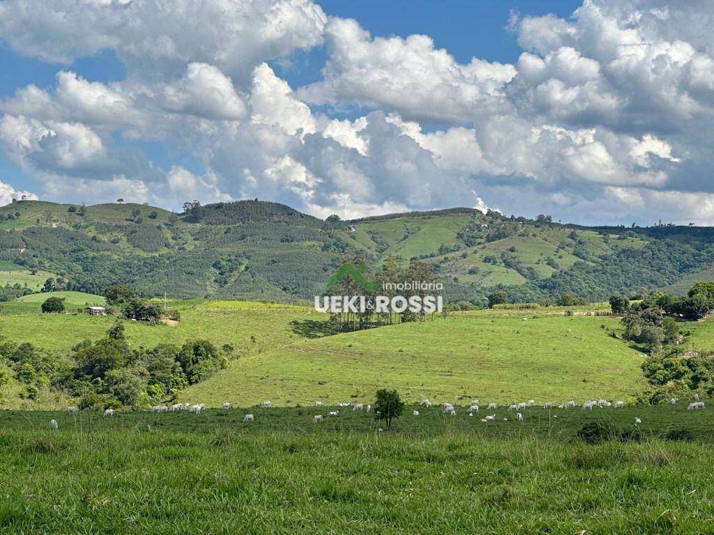 Fazenda à venda, 2299000M2 - Foto 7