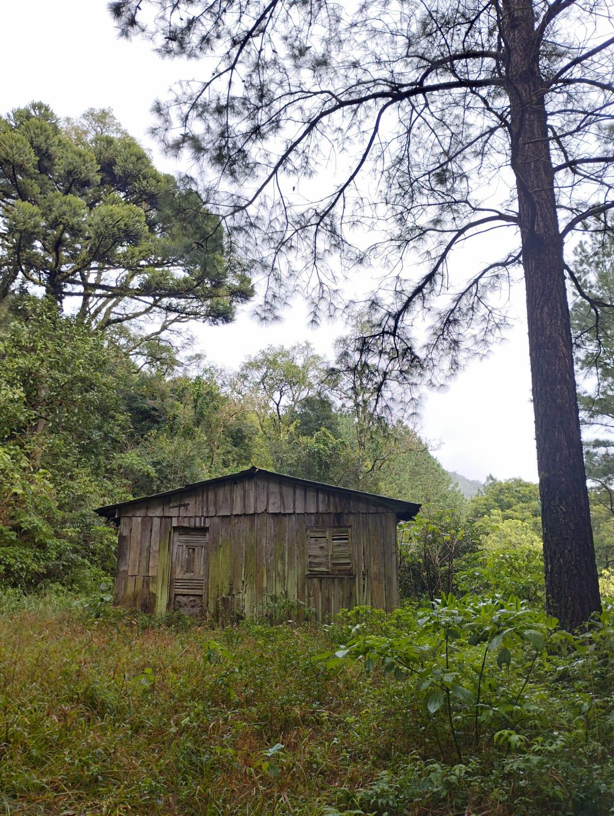 Fazenda à venda, 35m² - Foto 2