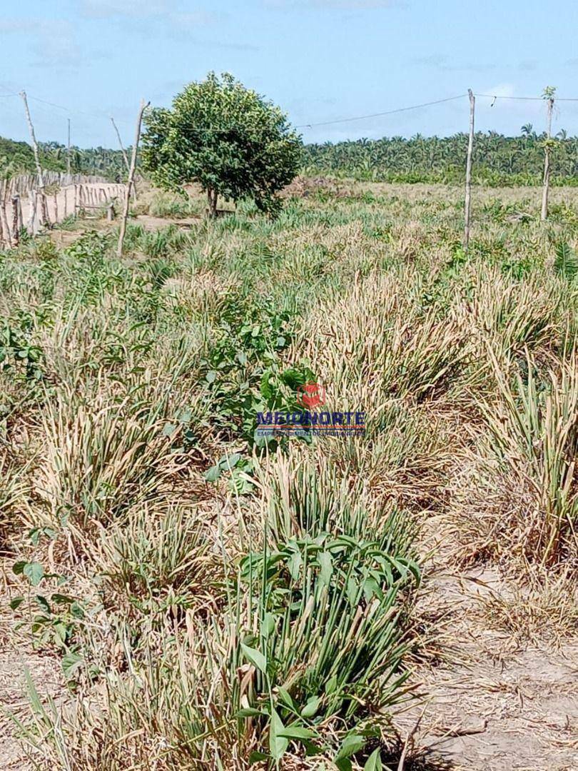 Fazenda à venda com 1 quarto, 2000000M2 - Foto 13