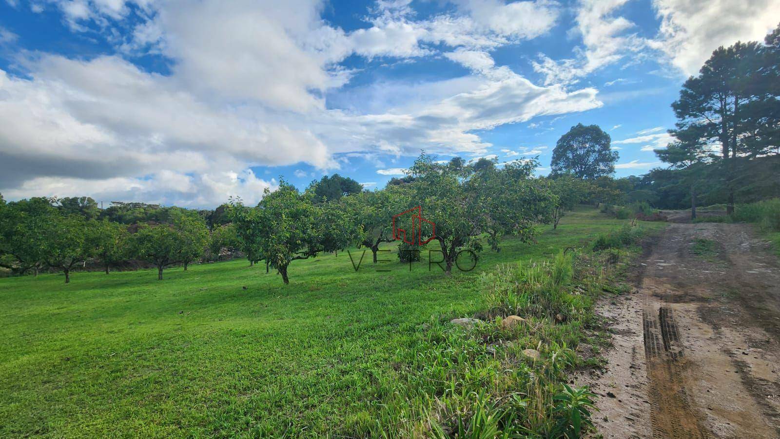 Loteamento e Condomínio à venda, 800M2 - Foto 4