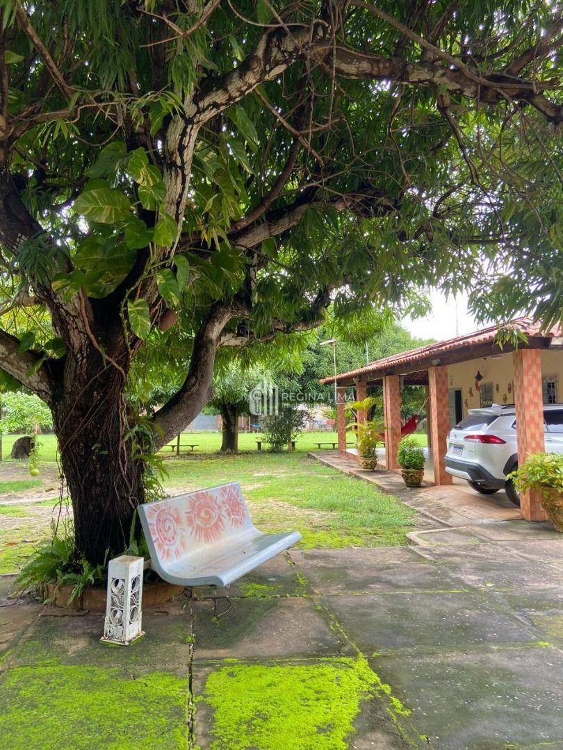 Sítio à venda com 4 quartos, 25600M2 - Foto 17