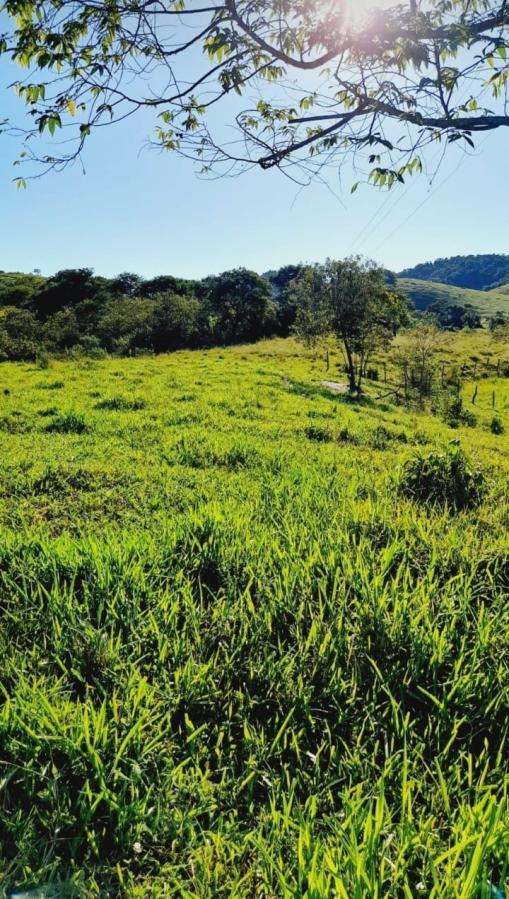 Fazenda à venda, 4m² - Foto 15