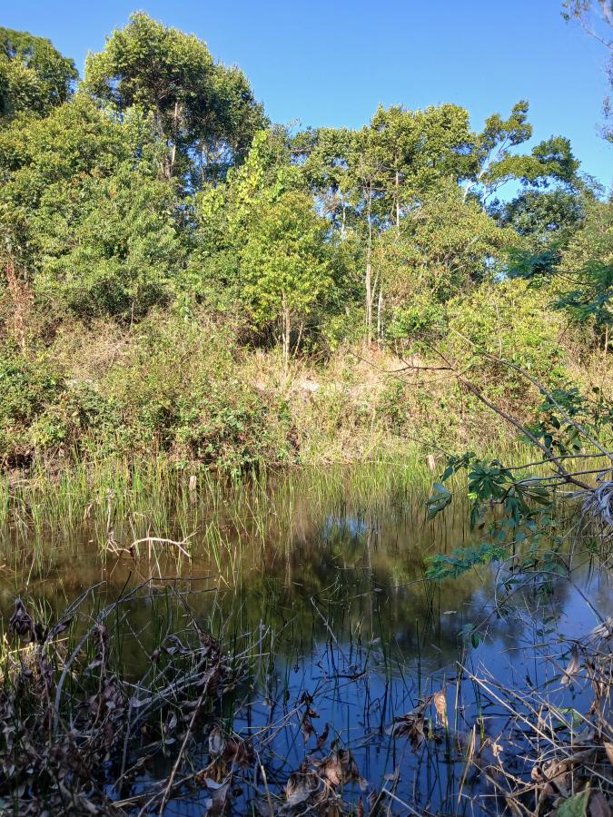 Fazenda à venda com 1 quarto, 96000m² - Foto 3