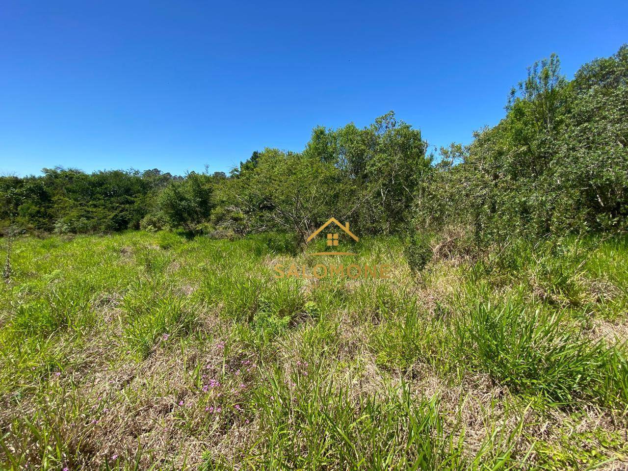 Loteamento e Condomínio, 2640 m² - Foto 3