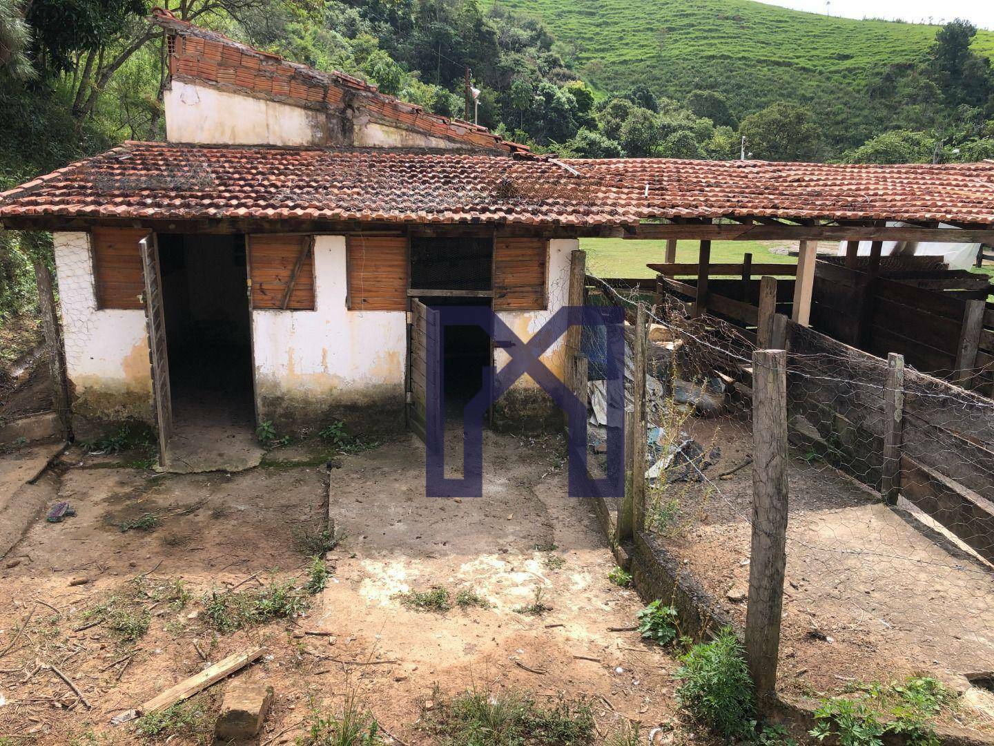 Sítio à venda com 5 quartos, 60500M2 - Foto 32