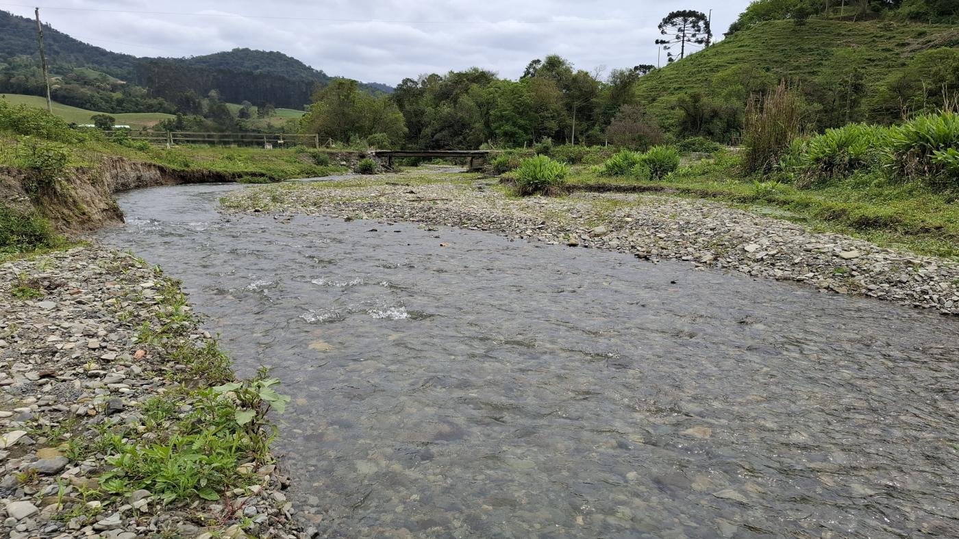 Fazenda à venda com 1 quarto, 10000m² - Foto 31