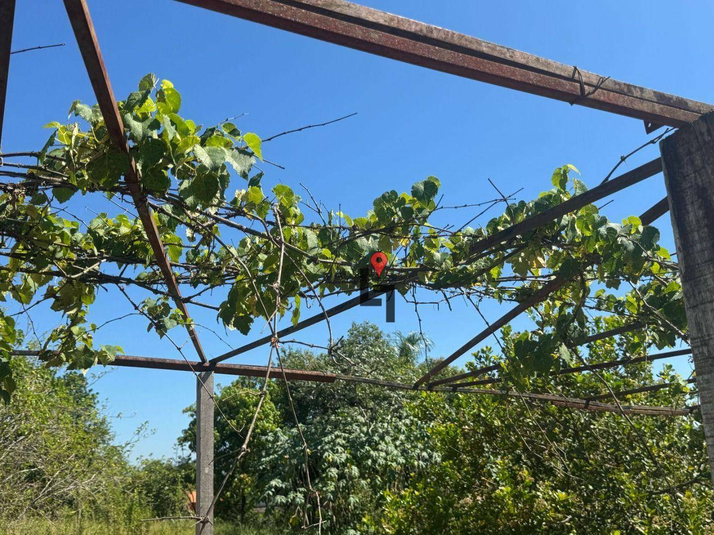 Chácara à venda com 3 quartos, 5000M2 - Foto 14