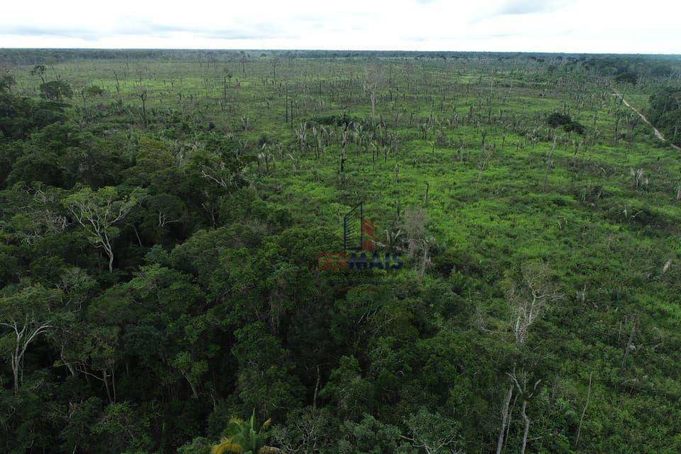 Fazenda-Sítio-Chácara, 702 hectares - Foto 1