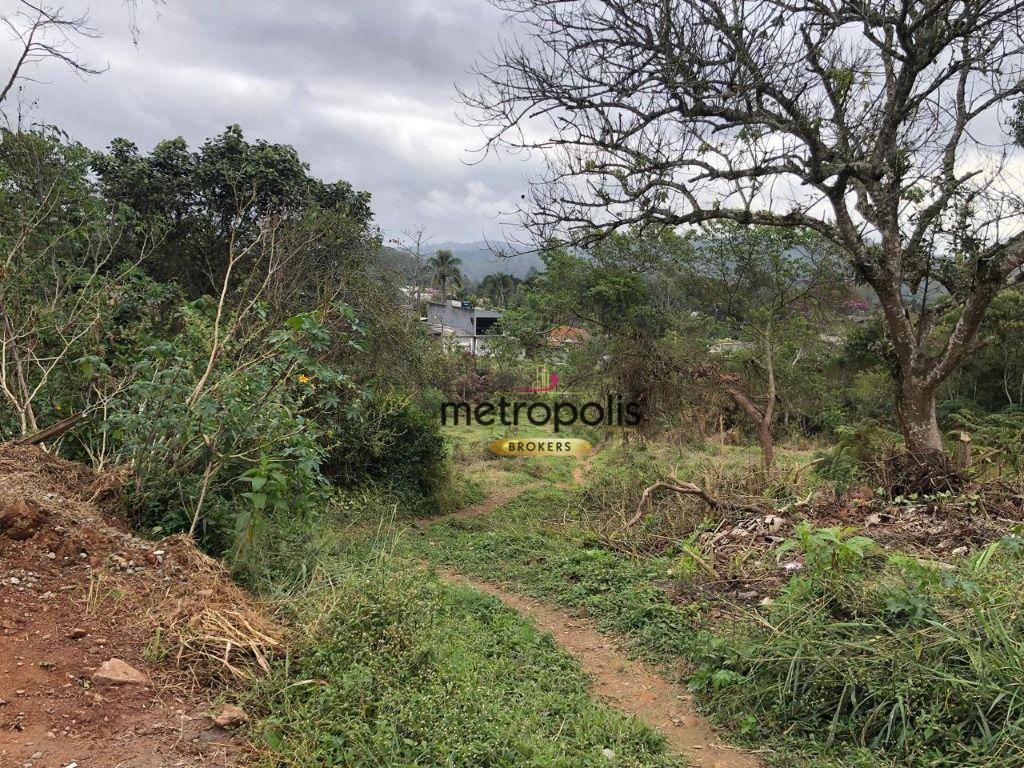 Terreno, 4 hectares - Foto 3