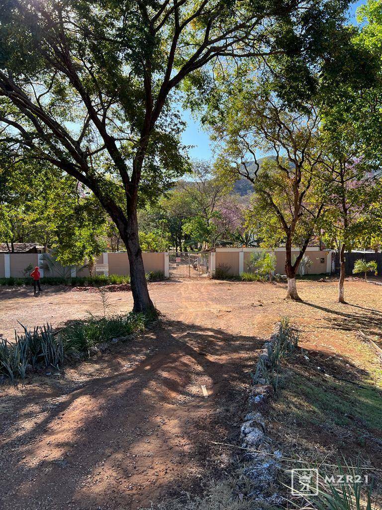 Chácara à venda com 4 quartos, 6000M2 - Foto 5