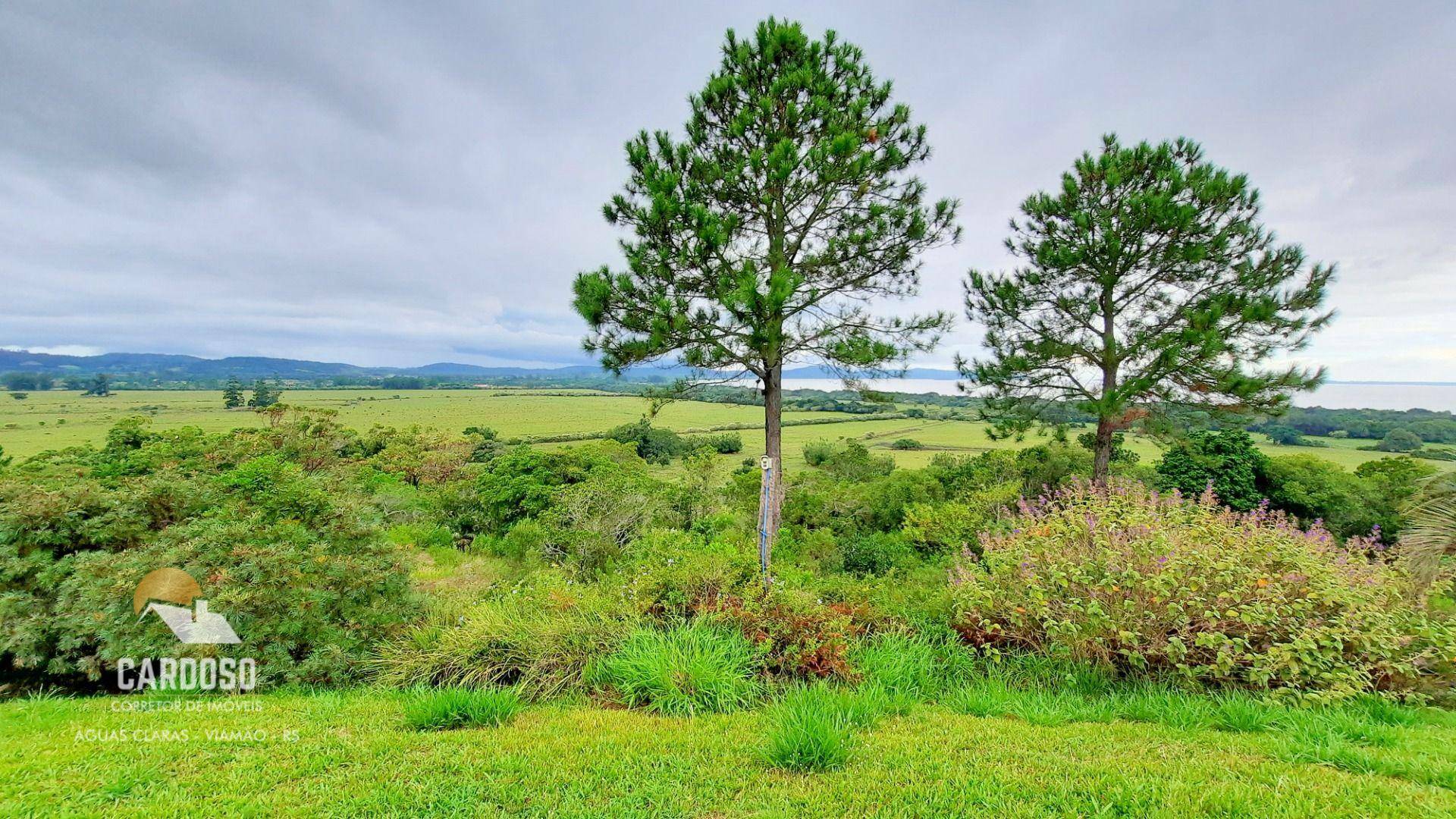 Fazenda à venda, 4620000M2 - Foto 1