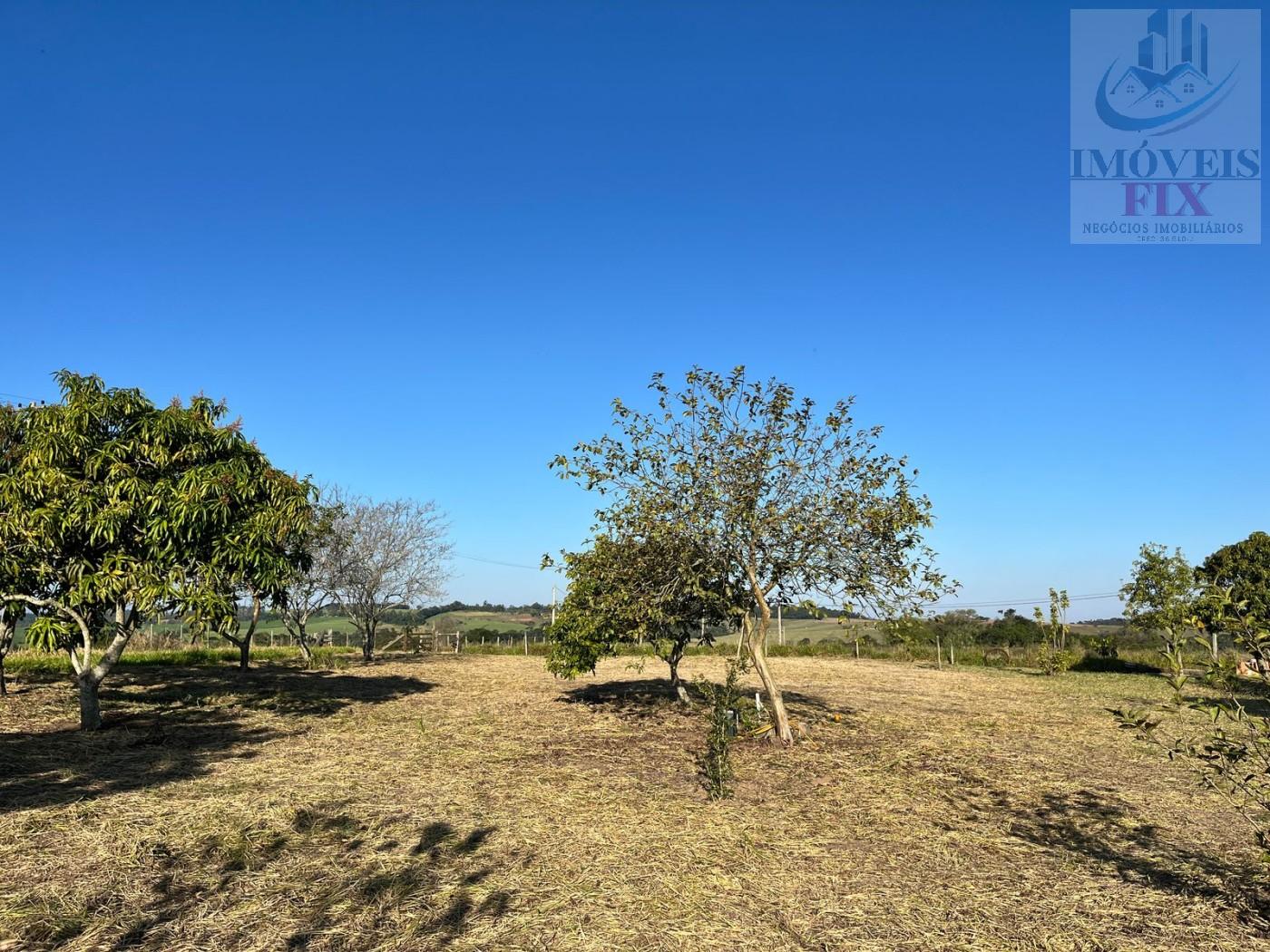 Sítio à venda com 3 quartos, 84700m² - Foto 11