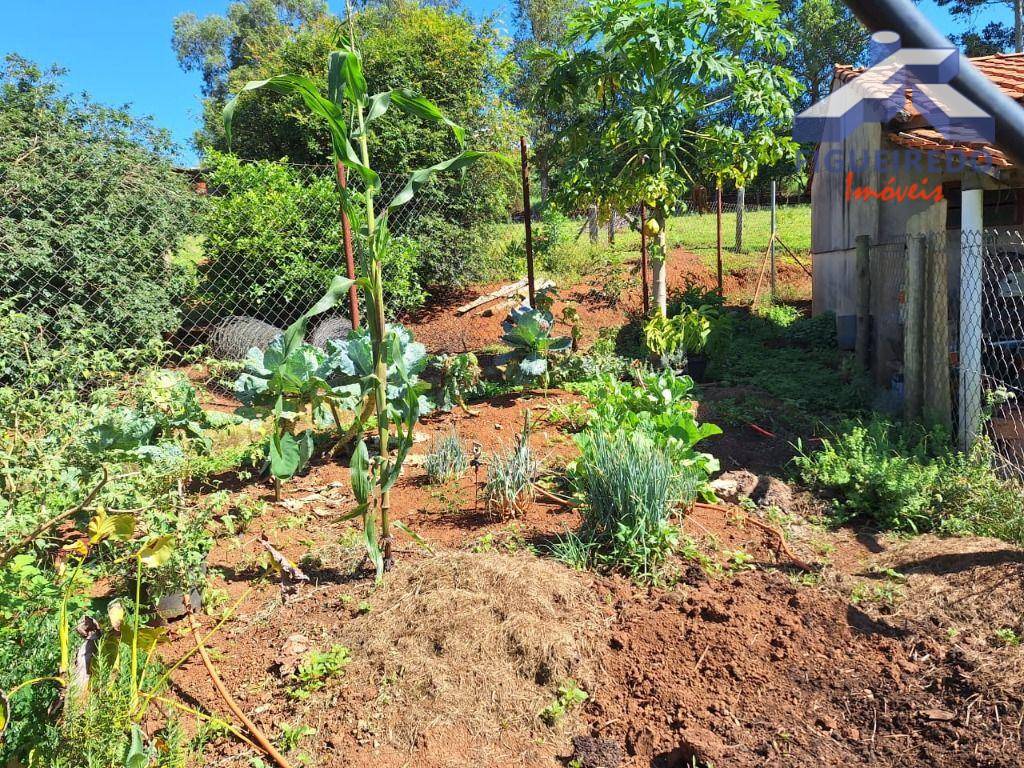 Sítio, 3 quartos, 3 hectares - Foto 38