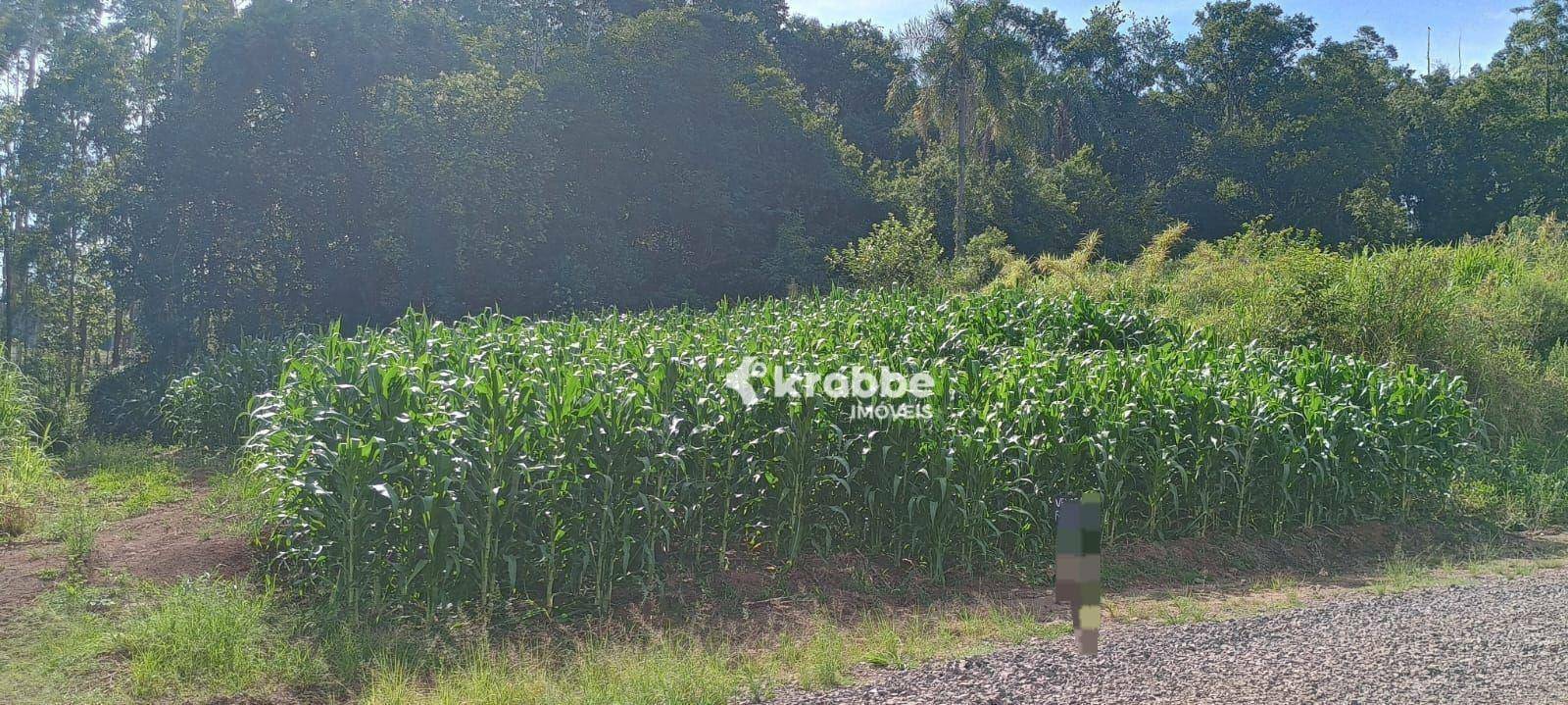 Loteamento e Condomínio à venda, 300M2 - Foto 2