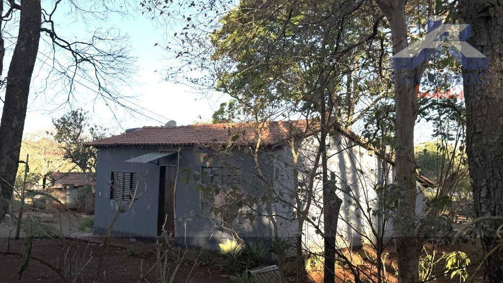 Sítio, 4 hectares - Foto 14