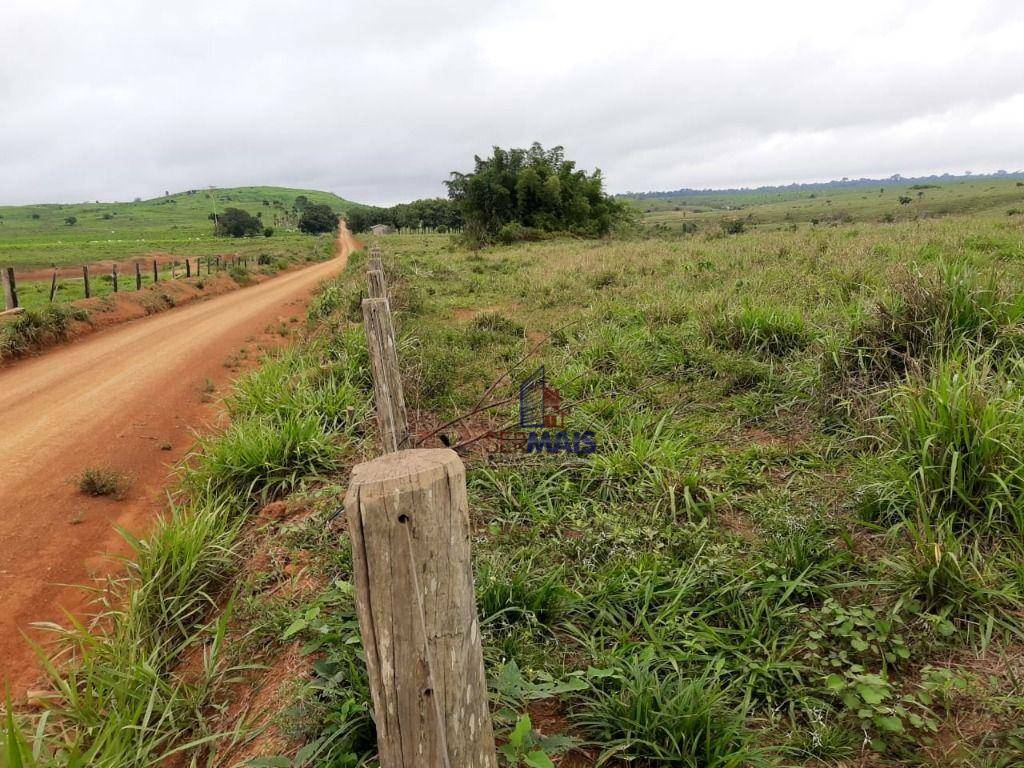 Fazenda à venda com 1 quarto, 31944000M2 - Foto 7