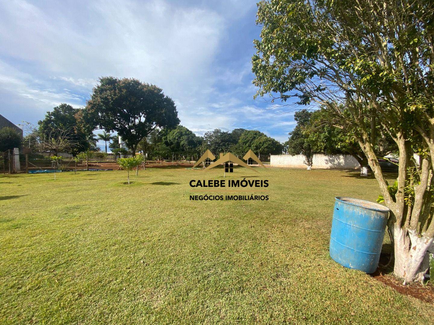 Chácara, 2 quartos, 4243 m² - Foto 2