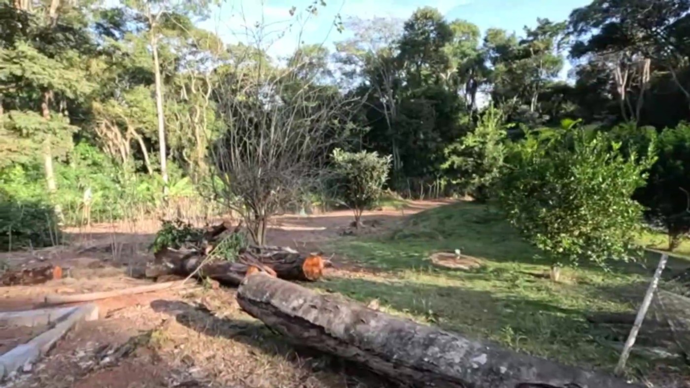 Chácara à venda com 2 quartos, 17500m² - Foto 26
