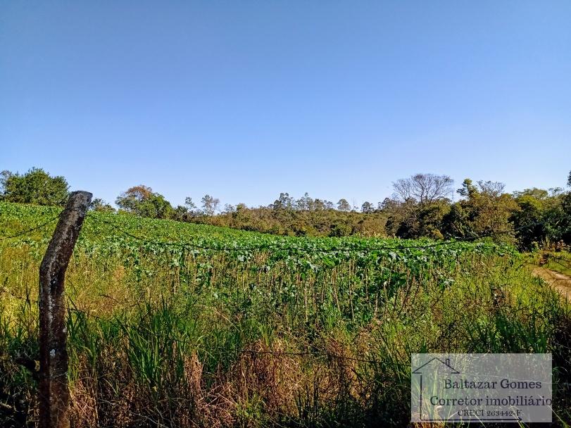 Fazenda à venda com 4 quartos, 11m² - Foto 16