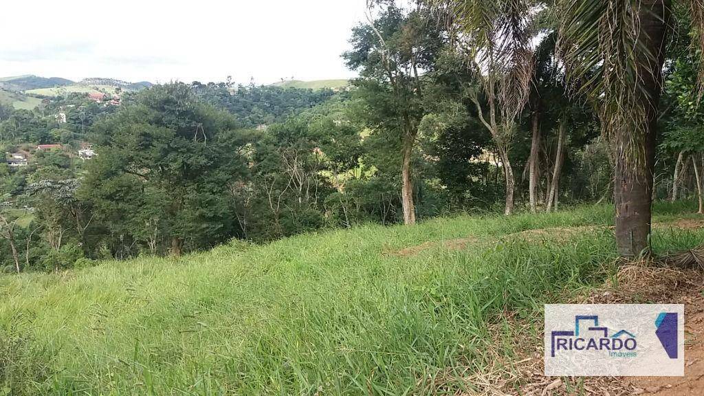 Chácara à venda com 2 quartos, 48000M2 - Foto 10