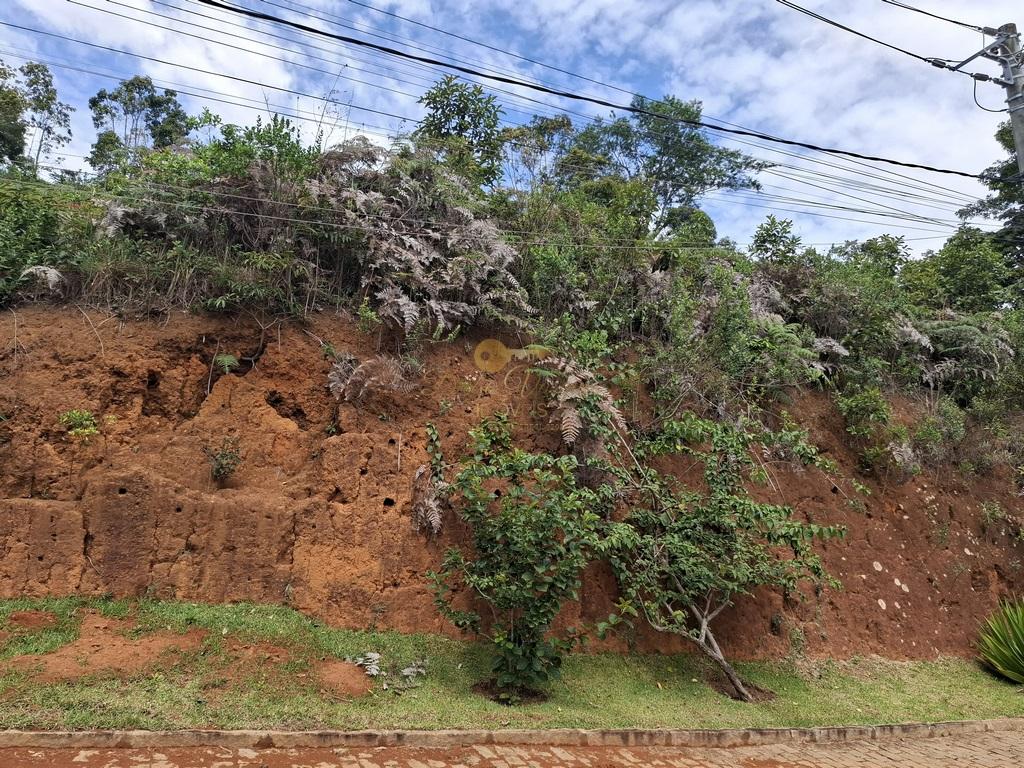 Terreno à venda, 299m² - Foto 11